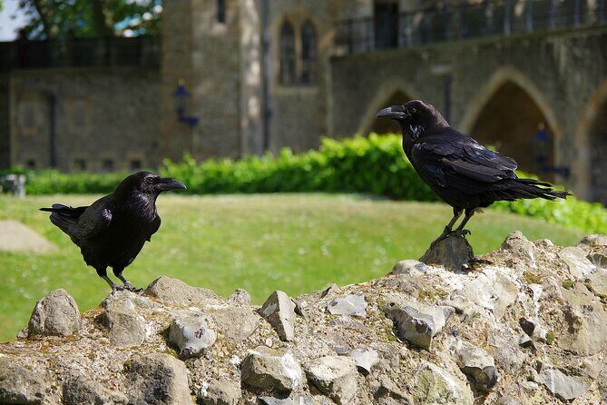 Tower of London Private Walking Tour - White Tower and the kings’ armor rooms: where medieval power becomes visible