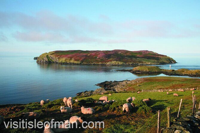 Viking Tour of the Isle of Man - Half Day - Private Tour - Castle Rushen and Castletown: Boats, Burials, and a Proper Castle