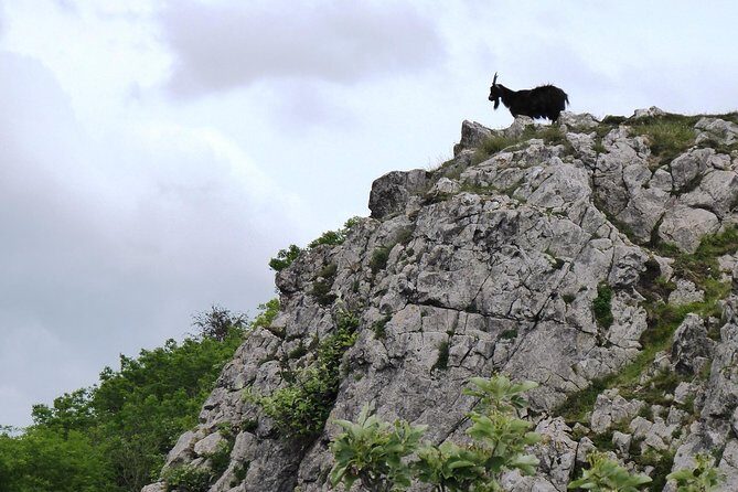 Wells, Cheddar Cheese and Cheddar Gorge - Private Day Trip from Bath - Wells Cathedral: the 13th-century stop you’ll remember