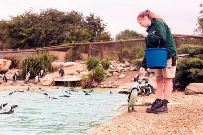 Whipsnade Zoo Entry Ticket - Picking your time slot and building a 3–5 hour plan