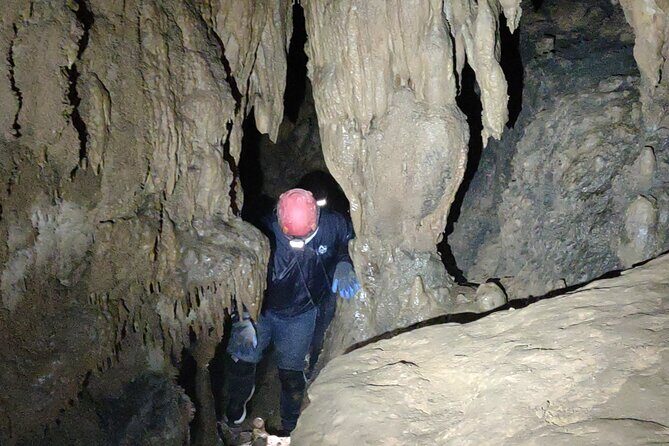 Wild Cave Extreme Tour - Entering the underground: waterfalls, fossils, and rimstone pools