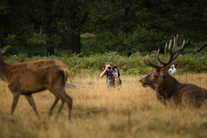 Wildlife Photography Workshop in Richmond Park in London - The 3-hour rhythm: how the session likely plays out