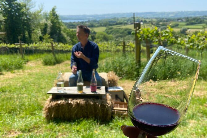 Wine & Cheese in the Somerset Valleys - with Michelin-star lunch! - Limeburn Hill: biodynamic wine tasting with real vineyard context
