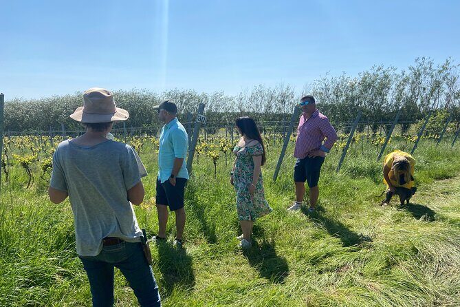 Wine & Cheese in the Somerset Valleys - with Michelin-star lunch! - Sutton Ridge: Ingrid’s planet-friendly vineyard wines