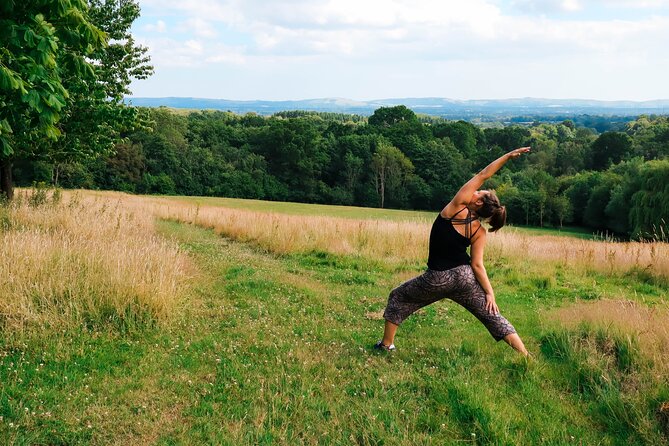 Yoga & Forest Bathing Day Retreat - Quick Hits You’ll Care About