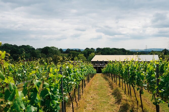 Yoga & Forest Bathing Day Retreat - Bolney Wine Estate Finish: Views, Not a Hard Sell