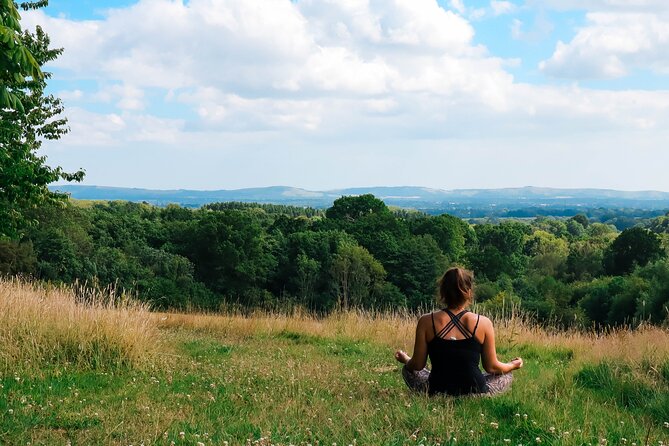Yoga & Forest Bathing Day Retreat - Price and Value: Is $89.13 Worth 4 Hours Outdoors?