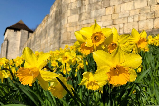 York 3-Hour Photography Walking Tour - Museum Gardens: Roman wall remains, St Mary’s Abbey, and the observatory