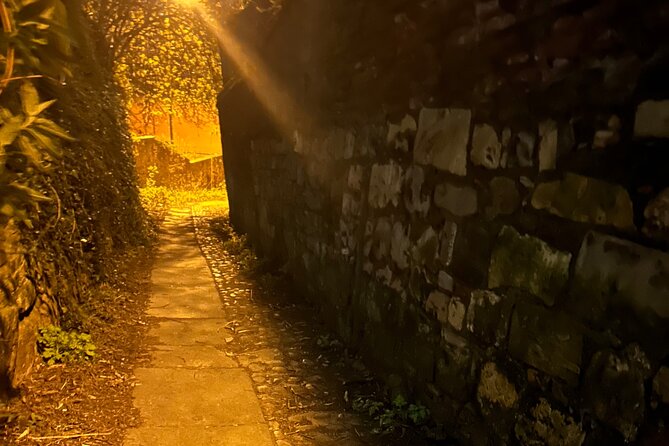 York's Forbidden Chronicles- Terrors from the dark side. - Dogs, Service Animals, and Families: Who This Tour Fits Best