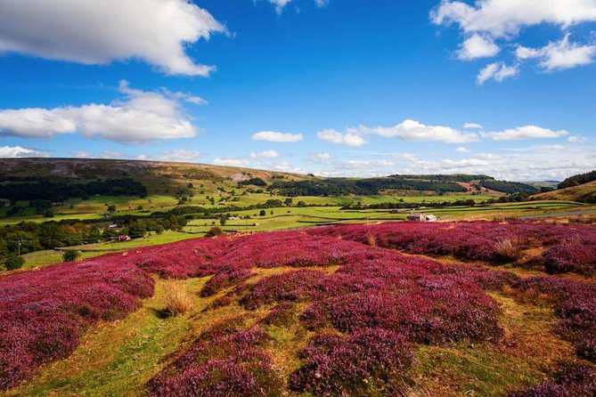 Yorkshire Dales Day Trip from York - From York to the Dales: why this format works