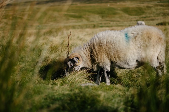 Yorkshire Dales from Windermere - Lunch around Reeth and the drive toward Dent