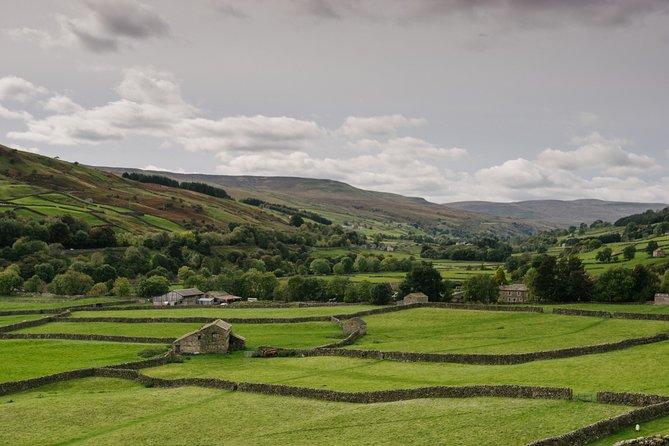 Yorkshire Dales Tour from York - Aysgarth Falls: quick, famous, and built for photos