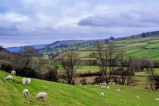 Yorkshire Dales Tour from York - 4 hours in the Yorkshire Dales National Park: the real point of the day